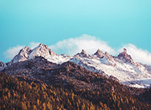 伟德Bevictor：从初心到共振的成长之旅