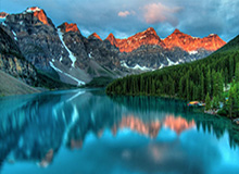 伟德Bevictor：从初心到共振的成长之旅